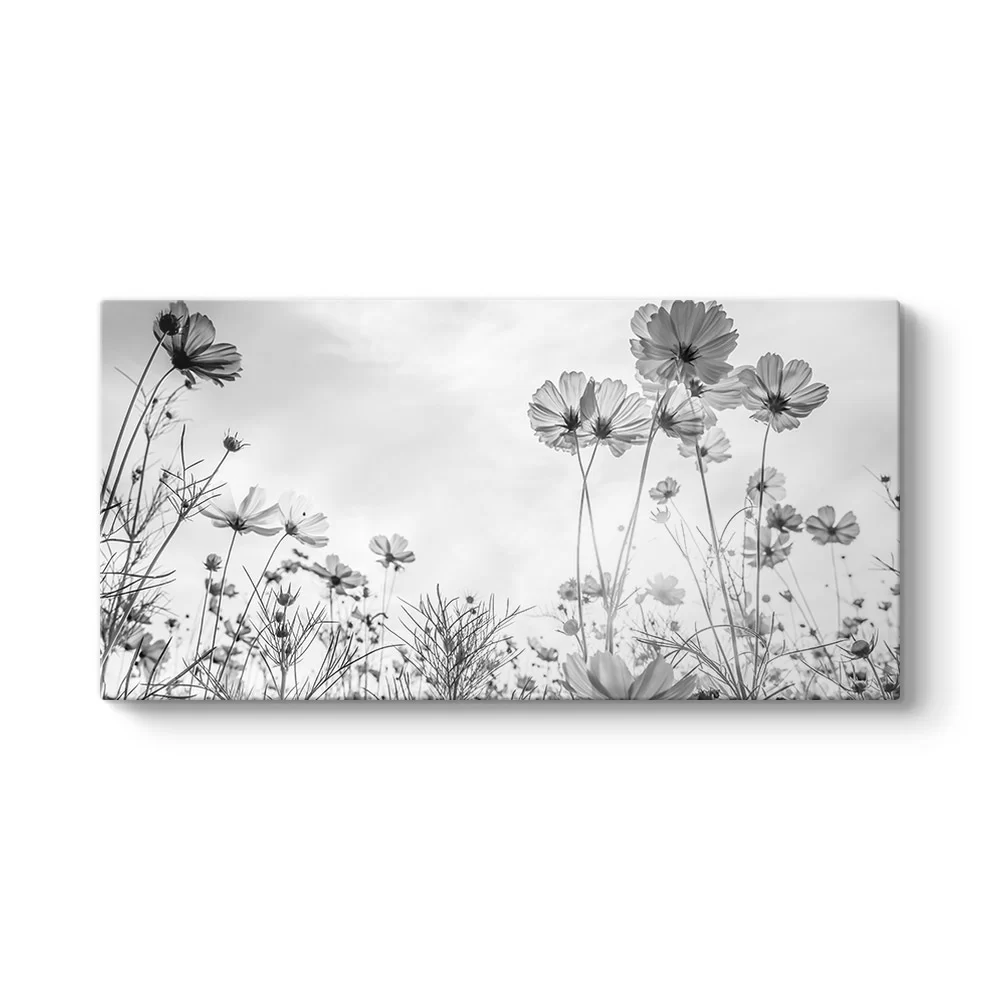 Cosmos Çiçeği Kanvas Tablo - Model 5